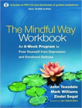 the-mindful-way